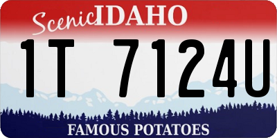 ID license plate 1T7124U