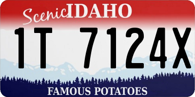 ID license plate 1T7124X