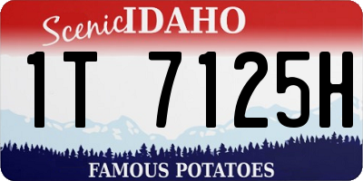 ID license plate 1T7125H