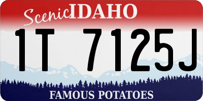 ID license plate 1T7125J