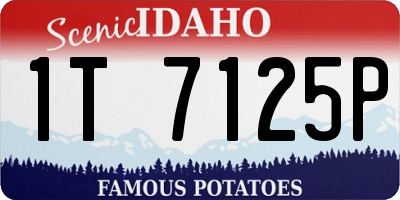 ID license plate 1T7125P