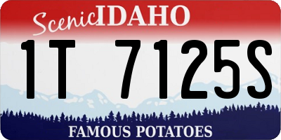 ID license plate 1T7125S