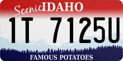 ID license plate 1T7125U