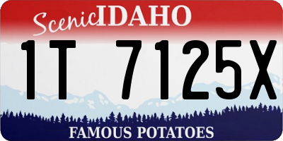 ID license plate 1T7125X