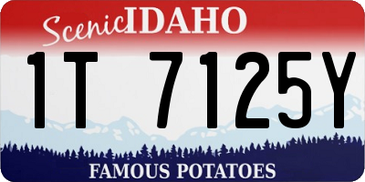 ID license plate 1T7125Y
