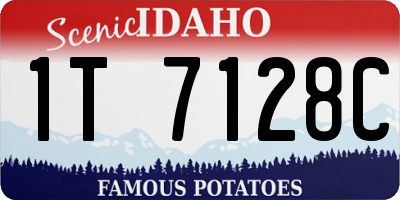 ID license plate 1T7128C