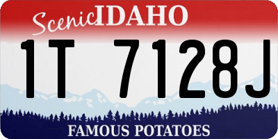 ID license plate 1T7128J