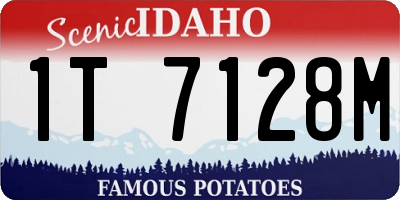 ID license plate 1T7128M