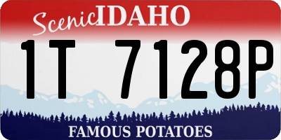 ID license plate 1T7128P