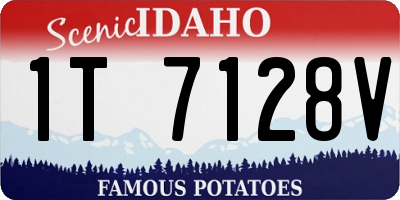 ID license plate 1T7128V