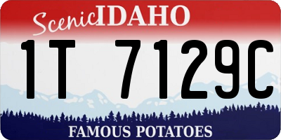 ID license plate 1T7129C
