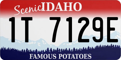 ID license plate 1T7129E