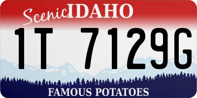 ID license plate 1T7129G
