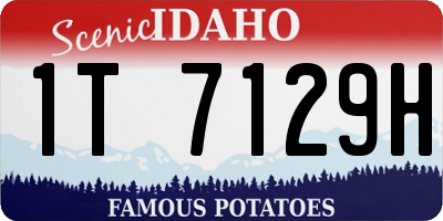ID license plate 1T7129H