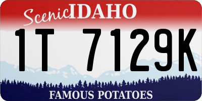 ID license plate 1T7129K