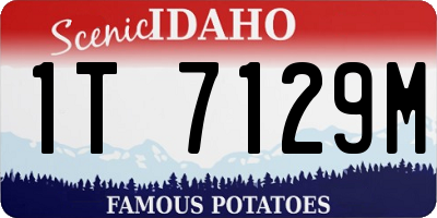 ID license plate 1T7129M