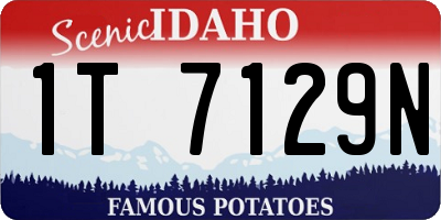 ID license plate 1T7129N