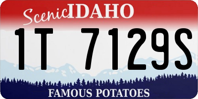 ID license plate 1T7129S