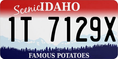 ID license plate 1T7129X