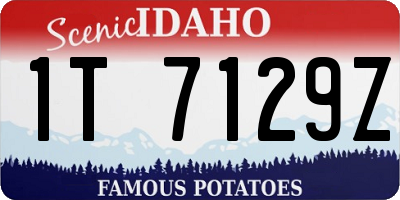 ID license plate 1T7129Z