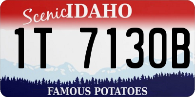ID license plate 1T7130B