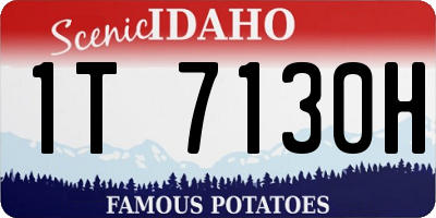 ID license plate 1T7130H