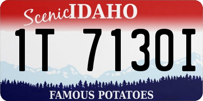 ID license plate 1T7130I