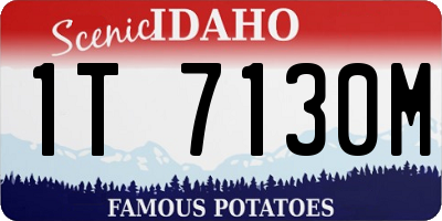 ID license plate 1T7130M