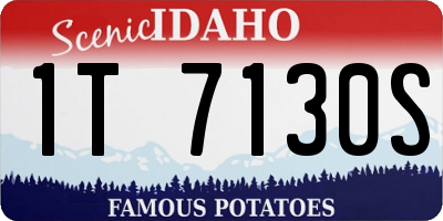 ID license plate 1T7130S