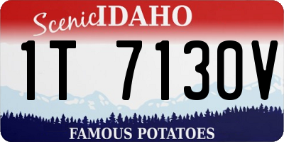 ID license plate 1T7130V