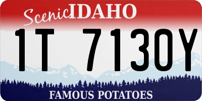 ID license plate 1T7130Y