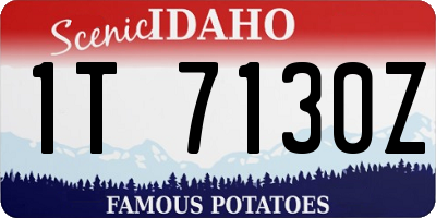 ID license plate 1T7130Z