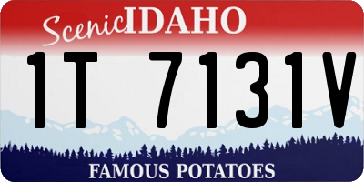 ID license plate 1T7131V