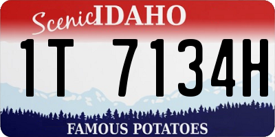 ID license plate 1T7134H