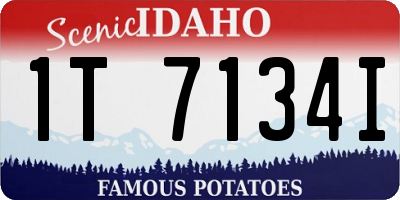 ID license plate 1T7134I