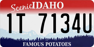 ID license plate 1T7134U