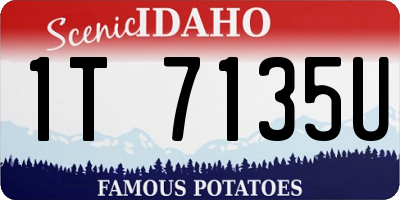 ID license plate 1T7135U