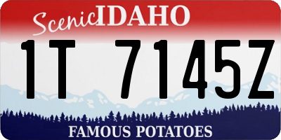 ID license plate 1T7145Z