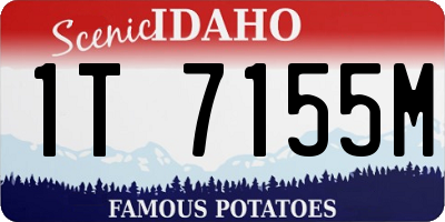 ID license plate 1T7155M