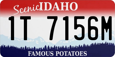 ID license plate 1T7156M