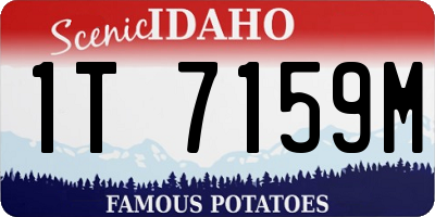 ID license plate 1T7159M