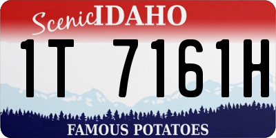 ID license plate 1T7161H