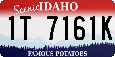 ID license plate 1T7161K
