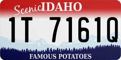 ID license plate 1T7161Q