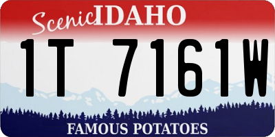 ID license plate 1T7161W