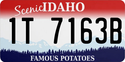 ID license plate 1T7163B