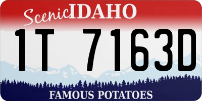 ID license plate 1T7163D