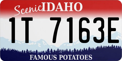 ID license plate 1T7163E