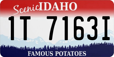 ID license plate 1T7163I