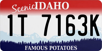ID license plate 1T7163K